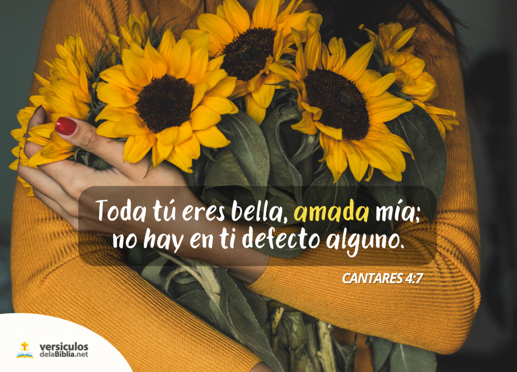 Toda tú eres hermosa, amiga mía, Y en ti no hay mancha. cantares 4 7